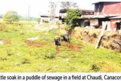 In growing tourism hotspot Canacona, effluents from hotels, market disposed of in the open