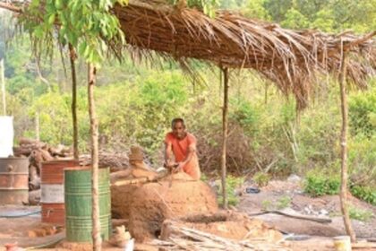 In lockdown, not even a whiff of feni escapes from bottle