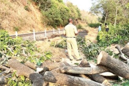 In midday sneak attack, Railway workers chop down mango, several other trees to expand tracks at Mollo