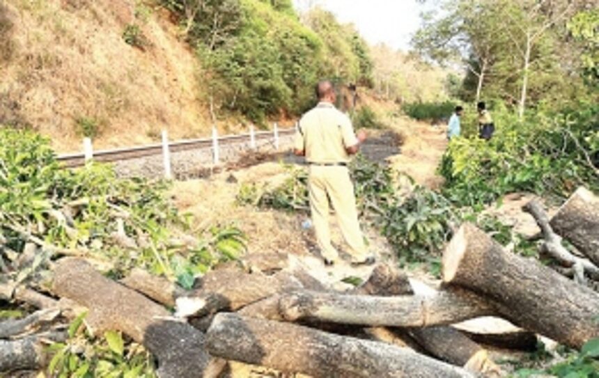 In midday sneak attack, Railway workers chop down mango, several other trees to expand tracks at Mollo