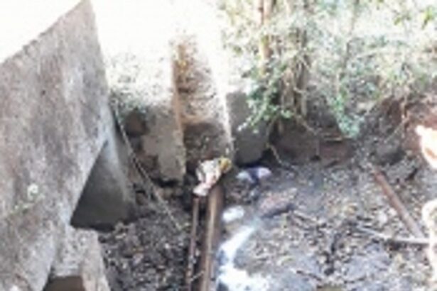 In next village, broken pipe leaking drinking water goes unnoticed by PWD