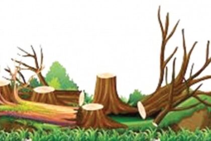 In-principle nod for clearing pvt forest for double tracking