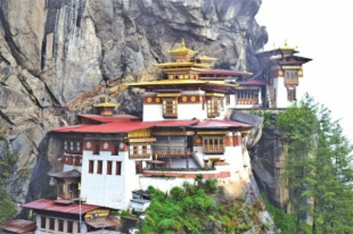 In search of paradise