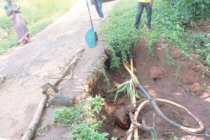 Incessant rain brings pain to Netravali villagers