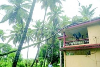 Incessant rain causes houses, trees to collapse, no injuries reported