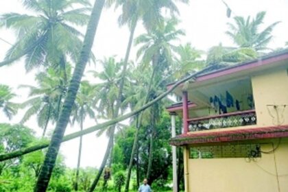 Incessant rain causes houses, trees to collapse, no injuries reported