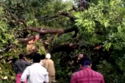 Incessant rains, gusty wind bring down many trees in Canacona, while some houses damaged