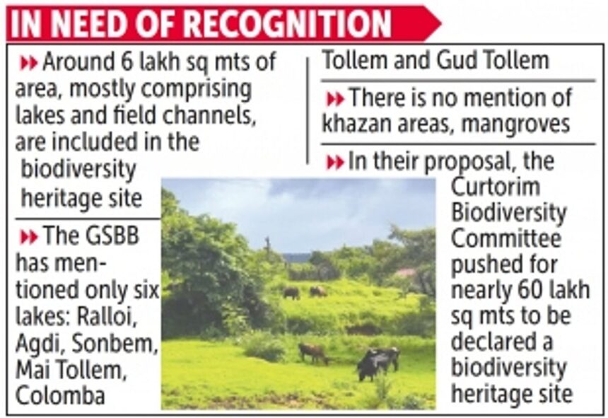 Include springs, khazans in Biodiversity Heritage site, Curtorkars urge GSBB 1 Include springs, khazans in Biodiversity Heritage site, Curtorkars urge GSBB