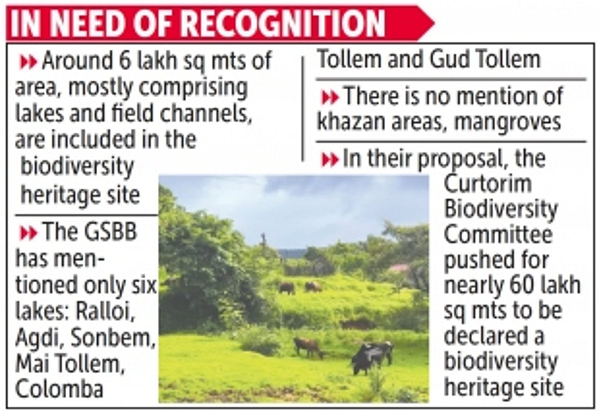 Include springs, khazans in Biodiversity Heritage site, Curtorkars urge GSBB