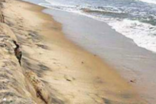 Incorporate suggestions, objections  in CZMP: Loutolim locals urge govt