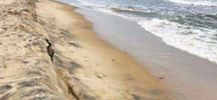 Incorporate suggestions, objections  in CZMP: Loutolim locals urge govt