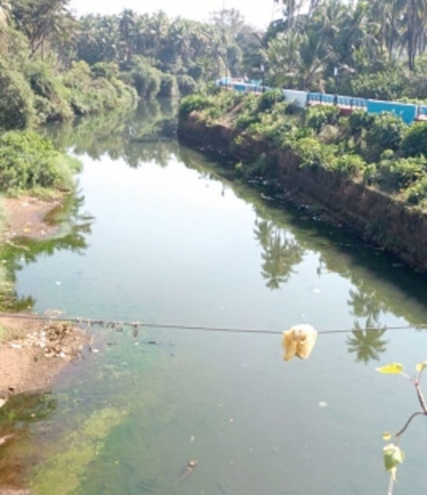 Increasing pollution threatens rivers in Bicholim