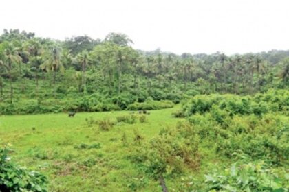 Incumbent MLAs may ‘land’ into trouble over ownership issues