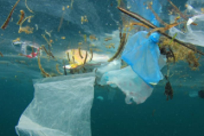 India, Russia to combat ocean pollution, climate changes