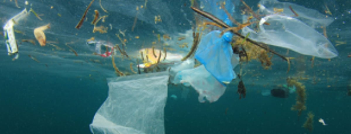 India, Russia to combat ocean pollution, climate changes