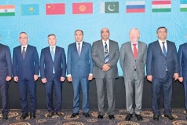 India keeping pace with sustainable development while building infrastructure projects: MD, IIFCL