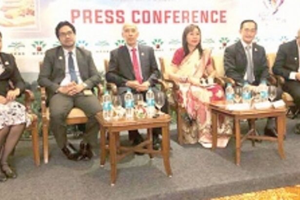 India to import 2.5 m tonne palm oil from Malaysia