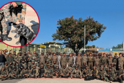 Indian Army Dog 'Domino' Awarded for Heroic Role in Rajouri Encounter
