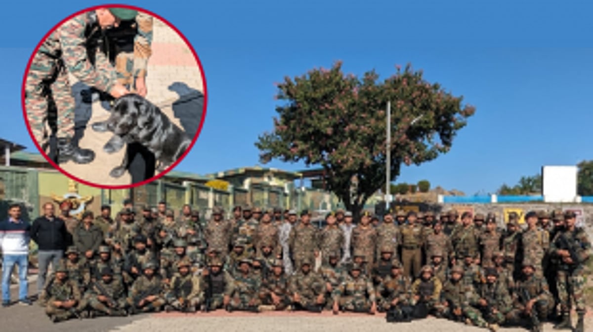 Indian Army Dog 'Domino' Awarded for Heroic Role in Rajouri Encounter