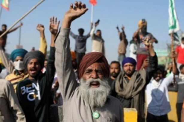 Indian Government Offers Support Prices for Corn, Cotton, and Pulses Amid Farmer Protests