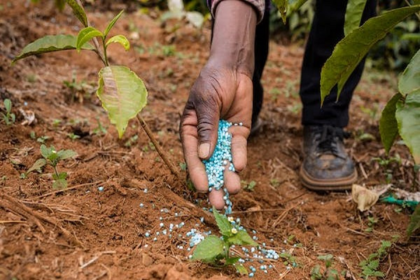India's Agrochemical Industry Gains Traction in Europe Amid Regulatory Shifts: Nuvama Report