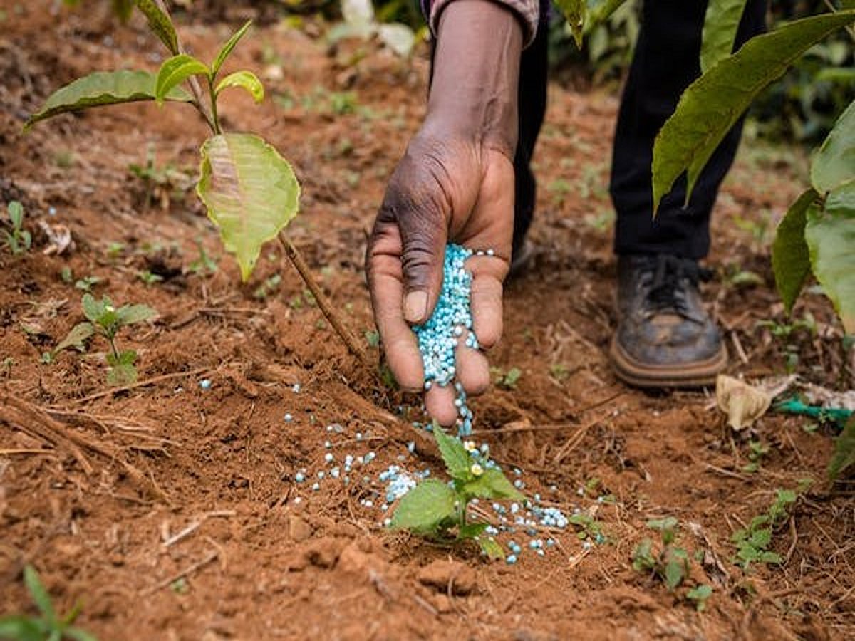India's Agrochemical Industry Gains Traction in Europe Amid Regulatory Shifts: Nuvama Report