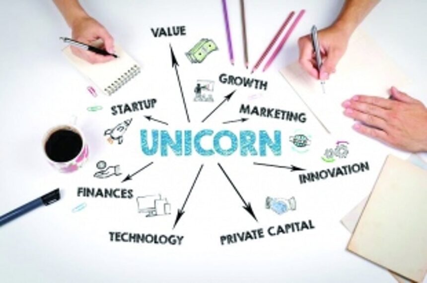 India’s unicorn days: Billion dollar club