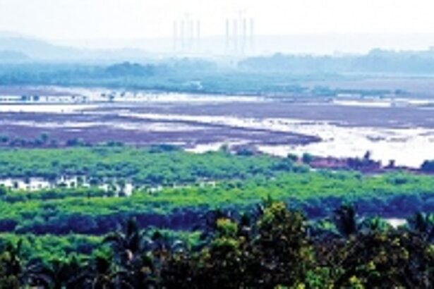 Innundated khazan lands threat to Goa’s staple food