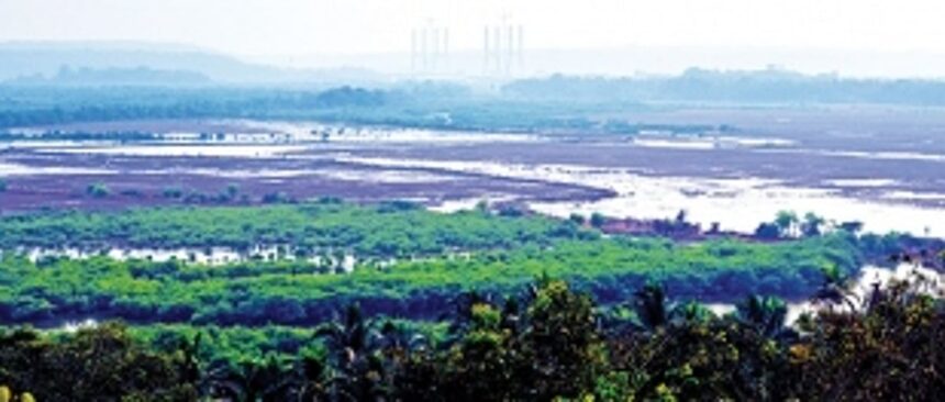 Innundated khazan lands threat to Goa’s staple food