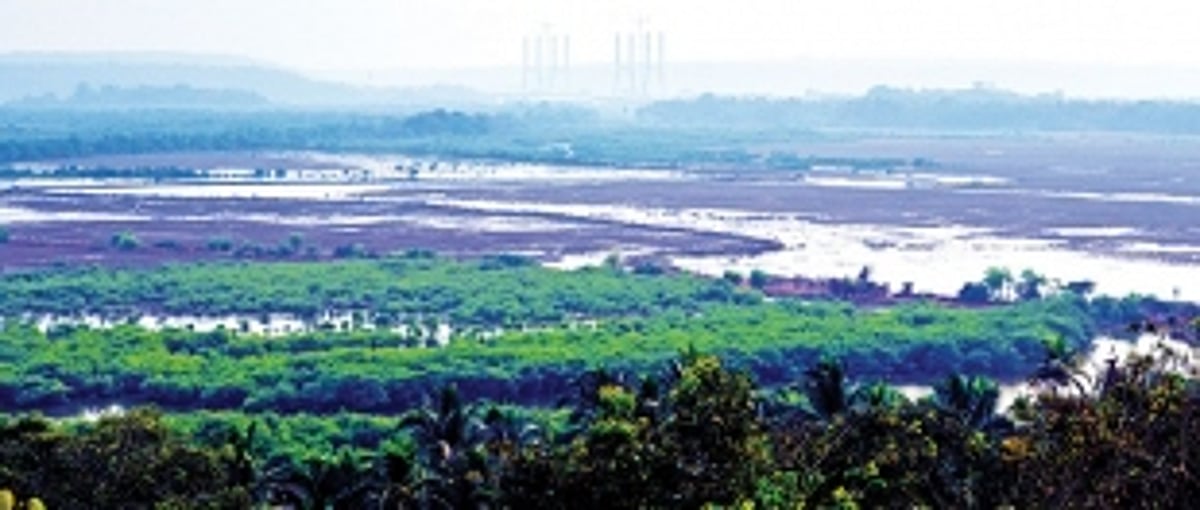 Innundated khazan lands threat to Goa’s staple food