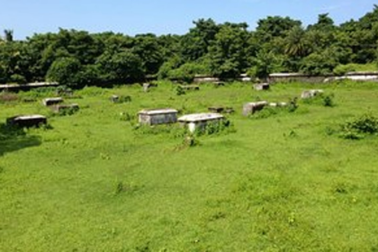 Inquiry initiated  over alleged burial at 18th Century cemetery