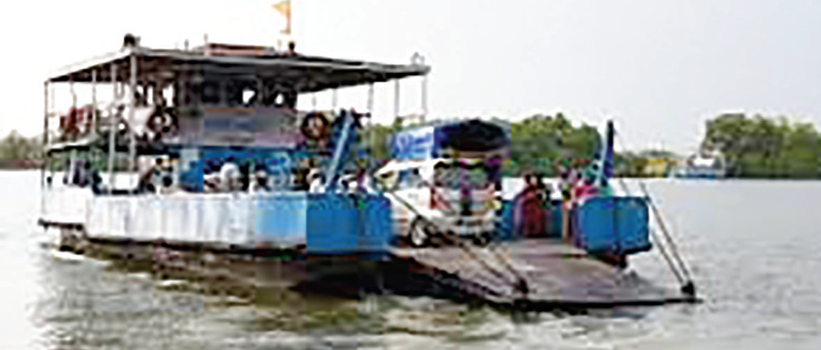 Install yellow fog lights in ferries