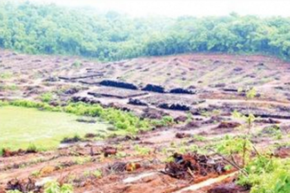 Institutional murders vs govt jobs