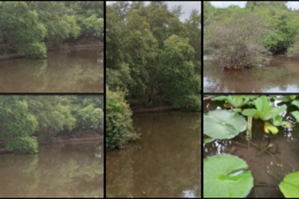 International Day for Biological Diversity: A call for all to embrace nature’s wonder