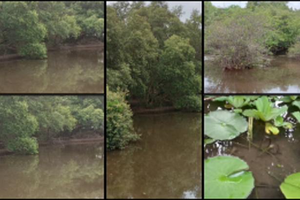 International Day for Biological Diversity: A call for all to embrace nature’s wonder