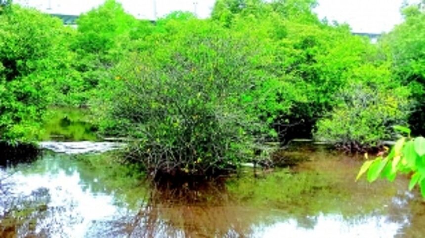 International Day for Biological Diversity:  A call for all to embrace nature’s wonders