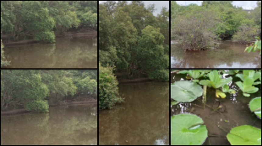 International Day for Biological Diversity: A call for all to embrace nature’s wonder