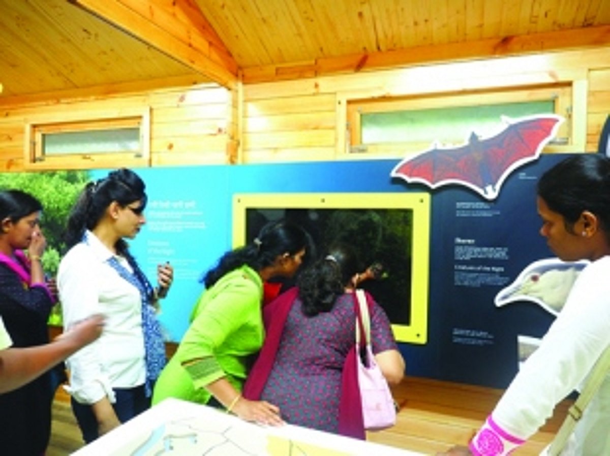 Interpreting Mangroves at Chorao