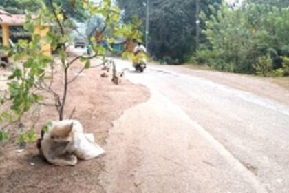 Irate Ganjem-Nanus villagers  demand restoration of road