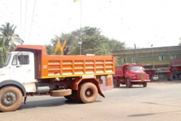 Iron ore transported  from Timblo mines
