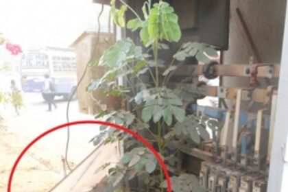 Irresponsible electricity dept