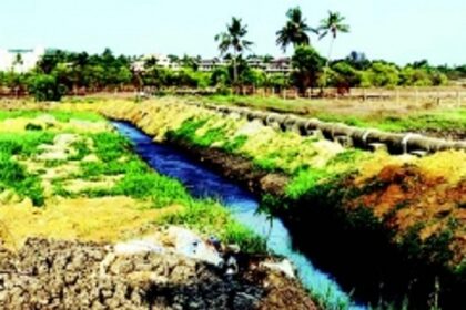 Irreversible damage threatens iconic Baga River
