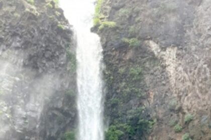 Is Goa looking inwards for tourism?
