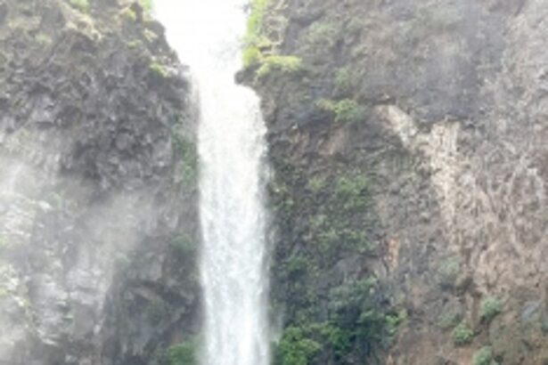 Is Goa looking inwards for tourism?