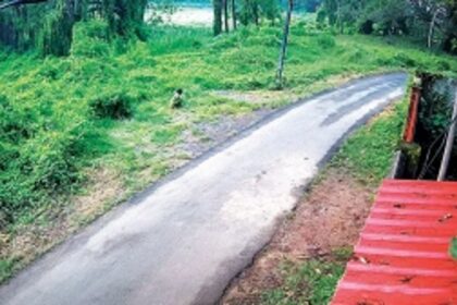 Is Goa really ODF free? Novenas underway, hawkers  resort to open defecation behind Colva church cemetery