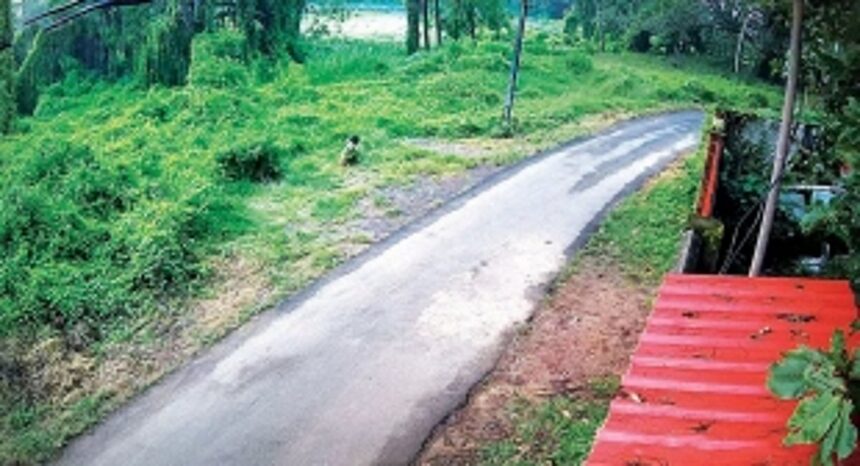 Is Goa really ODF free? Novenas underway, hawkers resort to open defecation behind Colva church cemetery 1 Is Goa really ODF free? Novenas underway, hawkers resort to open defecation behind Colva church cemetery