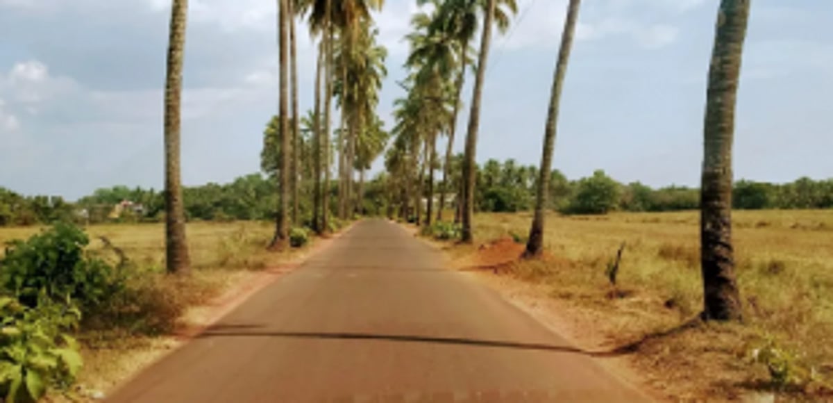 Is Goa still a pearl of the world?