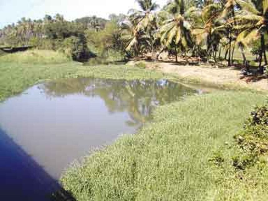Is it our neglect and decadence that is killing the River Sal?