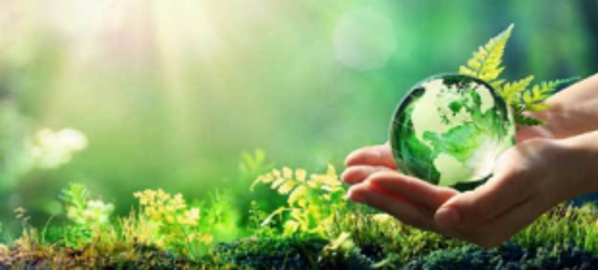 Is it worth to be so peaceful?