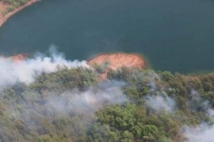 Is the Mhadei sanctuary fire  a conspiracy to finish the  river diversion battle?